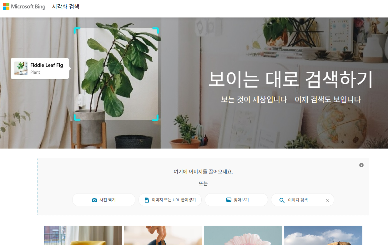 Bing 비주얼 검색으로 이미지 기반 인물 추적