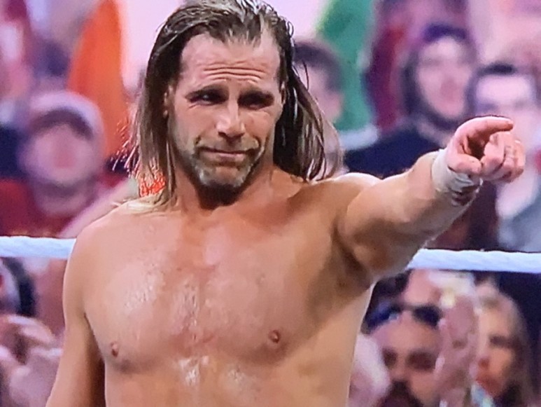 숀 마이클과 언더테이커의 레슬링 경기
