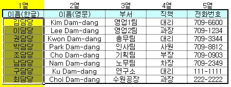 유효성 검사Ⅳ 예제 화면 1