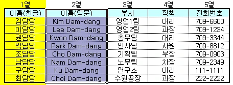 유효성 검사Ⅳ 예제 화면 3