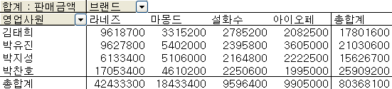 텍스트 항목이 표시된 피벗 테이블
