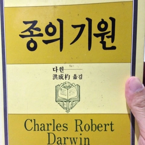 노란색 표지의 책 '종의 기원'(찰스 로버트 다윈, 홍성표 옮김)의 앞표지