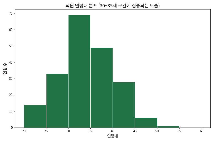 히스토그램 - 직원 연령대 분포