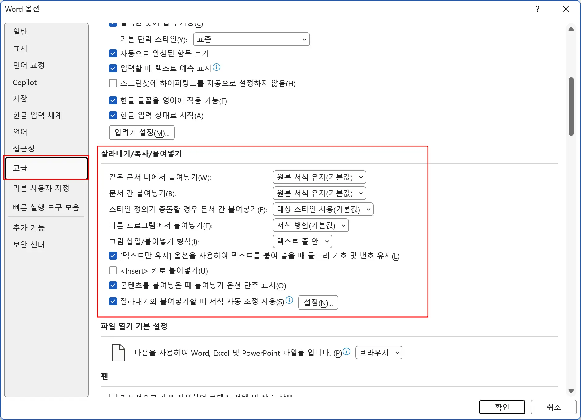 Word 옵션의 고급 설정 화면