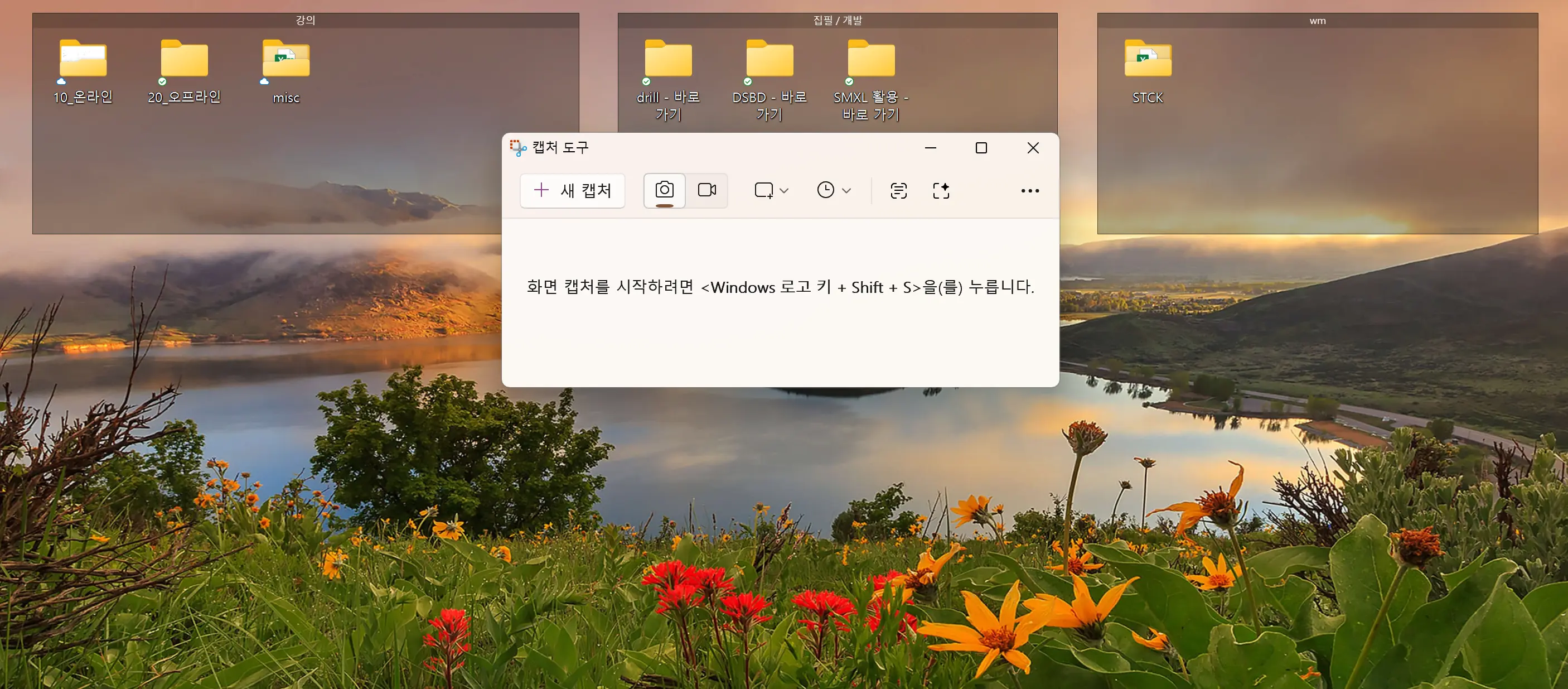 캡처 도구 앱을 실행했을 때 나타나는 작은 창과 새 캡처 버튼