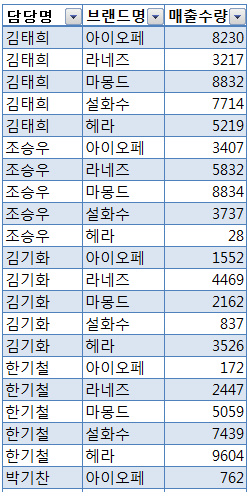 표 2 - 담당명, 브랜드명, 매출수량으로 나열된 목록 형태의 표(자동 필터 적용)